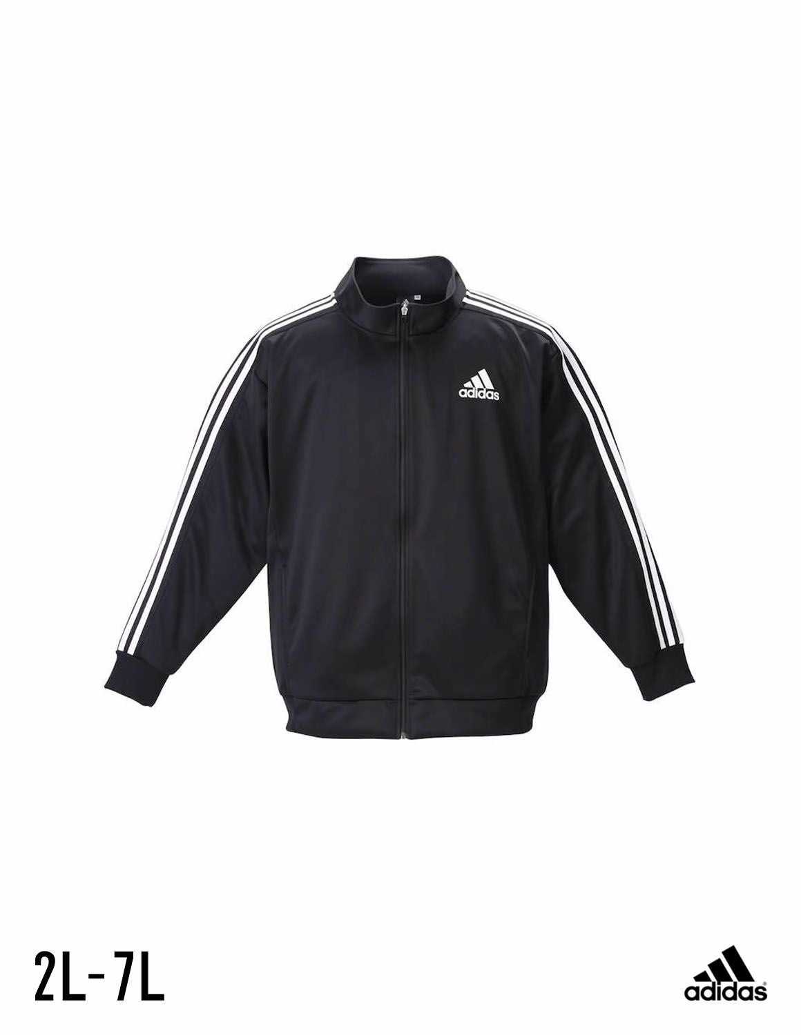 000000003952-01.jpg?size=m&w=