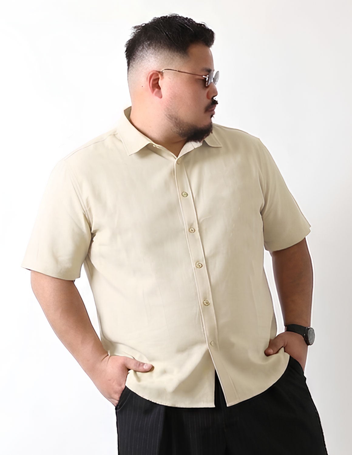 大きいサイズ メンズ】白鯨 Light 半袖シャツ 日本人男性(平均171cm)の